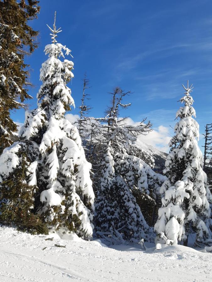 Apartmany Fortuna Vysoké Tatry 외부 사진